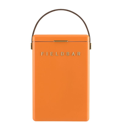 Shop Fieldbar Drinks Box Cooler With Interchangeable Straps (10l) In Orange