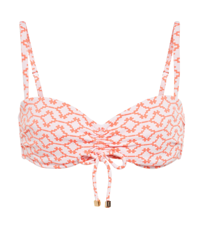 Shop Heidi Klein Antigua Printed Bikini Top In Arabian Sunset