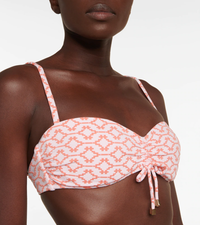 Shop Heidi Klein Antigua Printed Bikini Top In Arabian Sunset