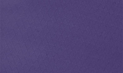 Osprey Daylite Sling Backpack In Dream Purple