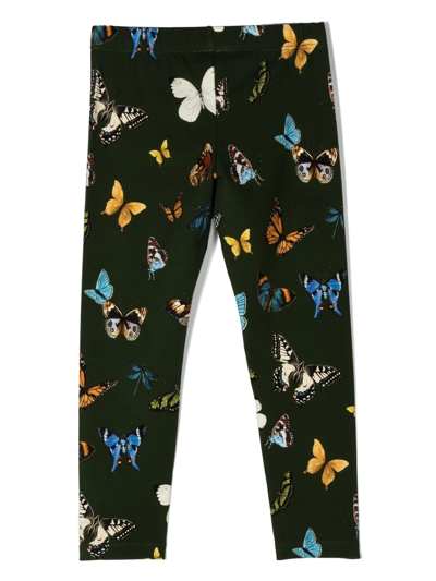 Shop Dolce & Gabbana All-over Butterfly-print Leggings In Green