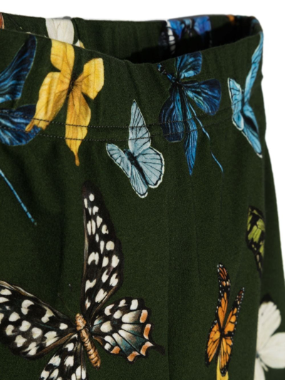 Shop Dolce & Gabbana All-over Butterfly-print Leggings In Green