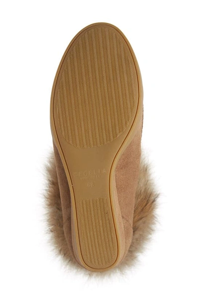 Shop Cecelia New York Holly Wedge Bootie With Genuine Fox Fur Trim In Chestnut Suede