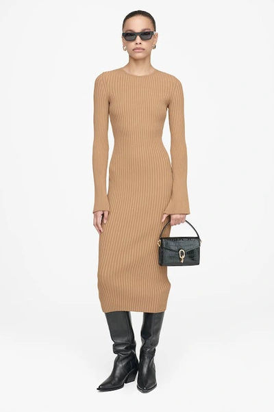 Shop Anine Bing Sia Dress In Brown