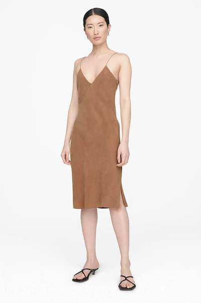 Shop Anine Bing Bay Dress In Brown