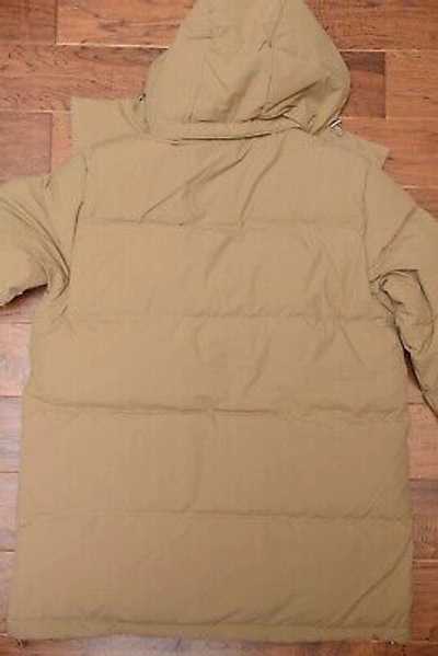 Pre-owned Lacoste Herren Wasserabweisend Down Gesteppte Winter Parka M Eu 50