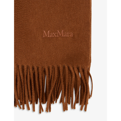 Shop Max Mara Women's Tobacco Baci Tassel-trim Cashmere Scarf