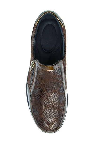 Flexus By Spring Step Concha Wedge Sneaker In Brown