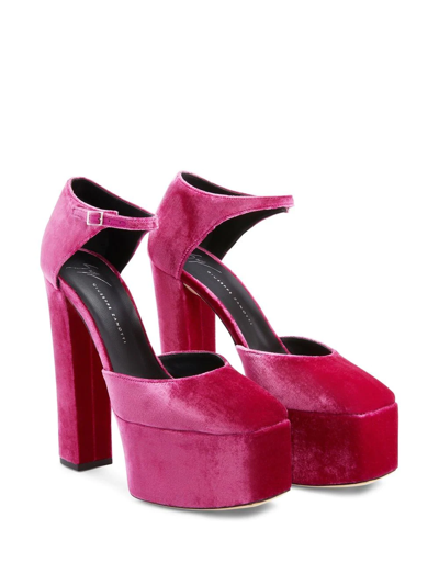 Shop Giuseppe Zanotti Bebe Velvet 150mm Pumps In Pink