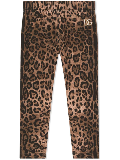 Dolce & Gabbana Leopard Print Cotton Leggings W/ Logo In Brown