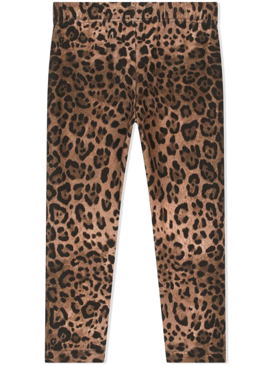 Dolce & Gabbana Leopard Print Cotton Leggings W/ Logo In Brown