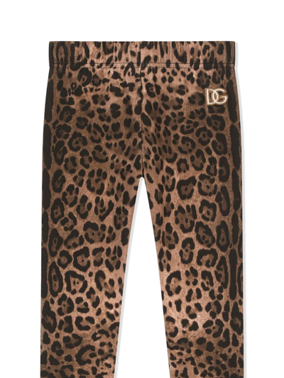 Dolce & Gabbana Leopard Print Cotton Leggings W/ Logo In Brown