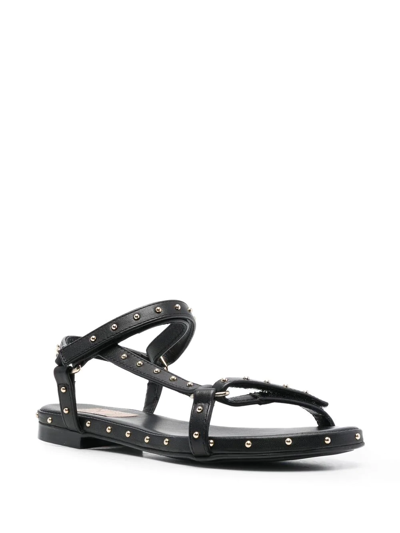Agl Attilio Giusti Leombruni Stud-detailing Open-toe Sandals In Black |  ModeSens