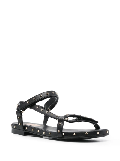 Shop Agl Attilio Giusti Leombruni Stud-detailing Open-toe Sandals In Black