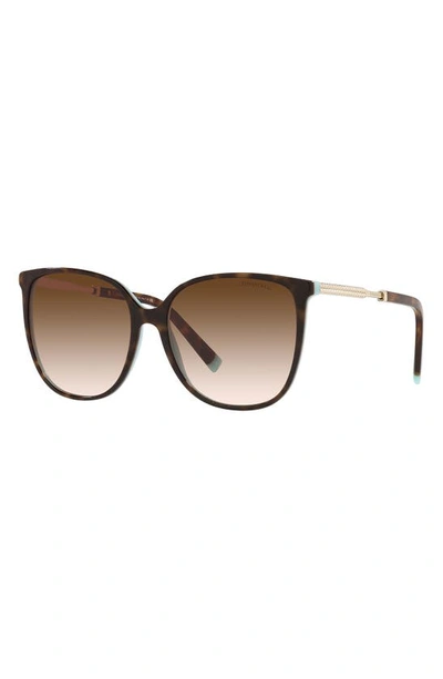 Shop Tiffany & Co 57mm Gradient Square Sunglasses In Havana Blue/ Brown Gr
