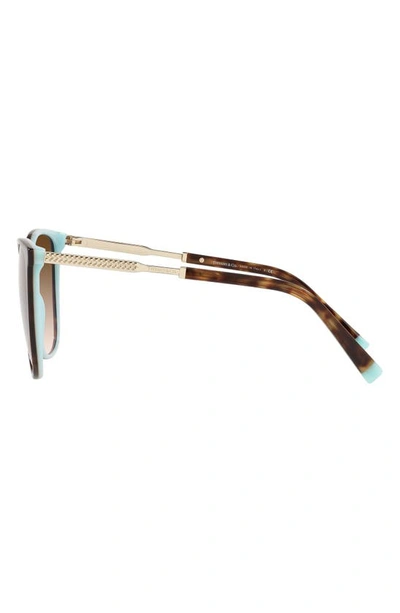Shop Tiffany & Co 57mm Gradient Square Sunglasses In Havana Blue/ Brown Gr