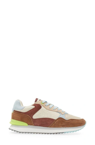 Hoff Reno Sneaker In Brown