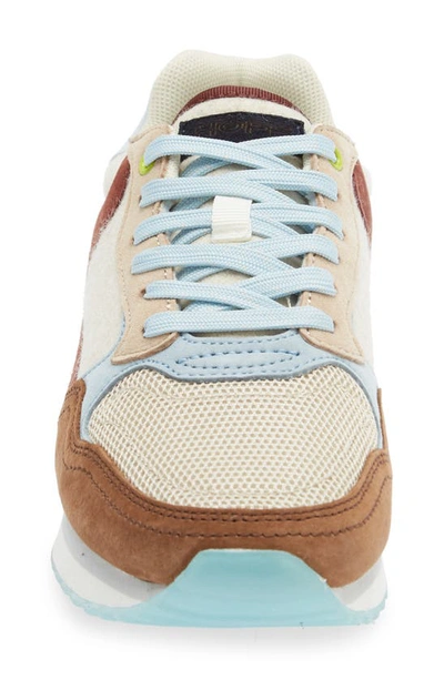 Hoff Reno Sneaker In Brown