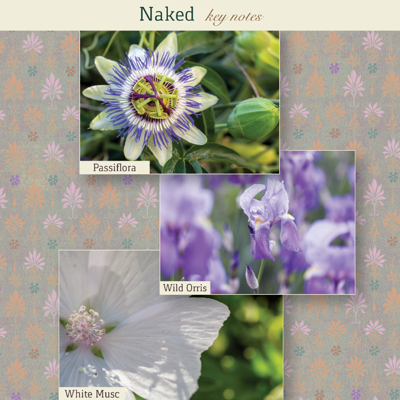 The Maker Naked Eau De Parfum In Default Title