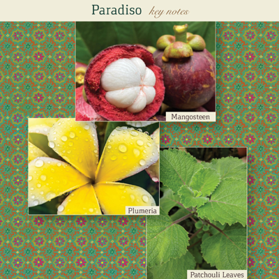 The Maker Paradiso Eau De Parfum In Default Title