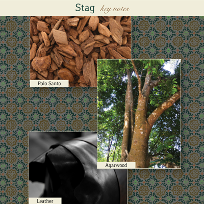 The Maker Stag Eau De Parfum In Default Title