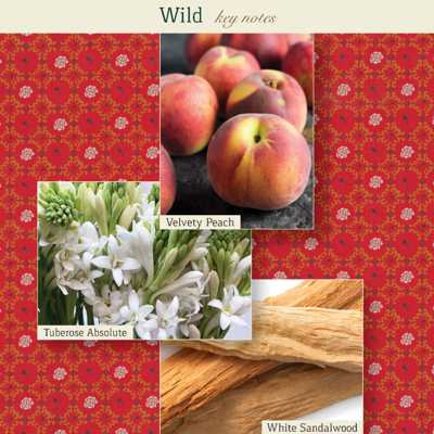 The Maker Wild Eau De Parfum In Default Title