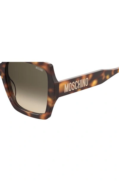 Shop Moschino 56mm Gradient Square Sunglasses In Havana 2 / Green Shaded