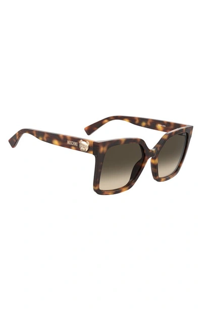 Shop Moschino 55mm Gradient Square Sunglasses In Havana 2 / Green Shaded