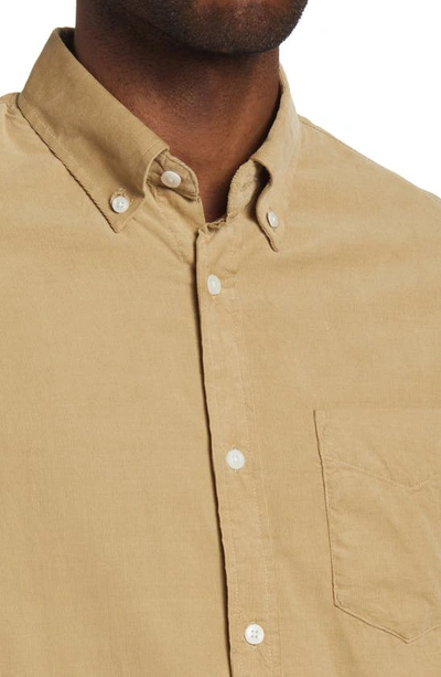Nn07 Levon 5723 Corduroy Button-down Shirt In Khaki