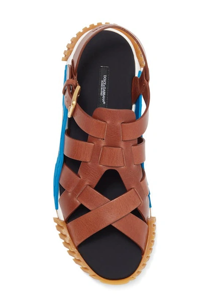Shop Dolce & Gabbana Platform Fashion Sandal In Brown/ Blue