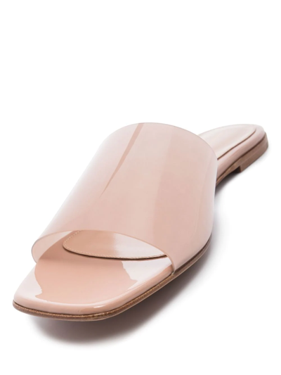 Gianvito Rossi Semi-transparent Flat Sandals In Pink