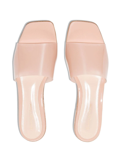 Gianvito Rossi Semi-transparent Flat Sandals In Pink