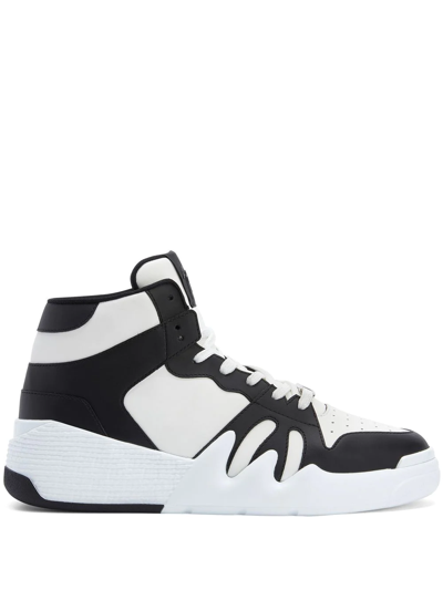 Giuseppe Zanotti Black & White Talon Sneakers In Black
