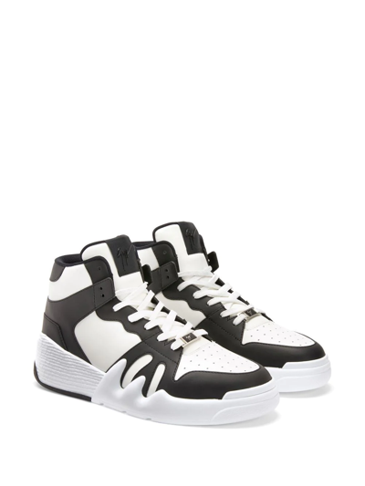 Shop Giuseppe Zanotti Talon High-top Sneakers In Black