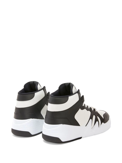 Giuseppe Zanotti Black & White Talon Sneakers In Black