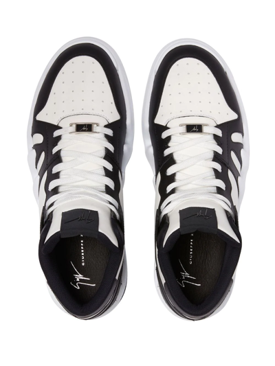 Giuseppe Zanotti Black & White Talon Sneakers In Black
