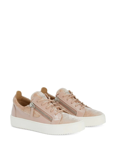 Shop Giuseppe Zanotti Gail Velvet Low-top Sneakers In Pink