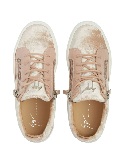 Shop Giuseppe Zanotti Gail Velvet Low-top Sneakers In Pink