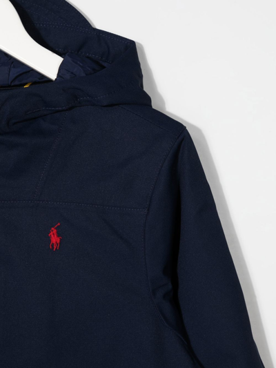Shop Ralph Lauren Embroidered-pony Detail Hooded Jacket In Blue