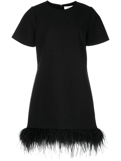 Shop Likely Marullo Feather-trim Mini Dress In Black