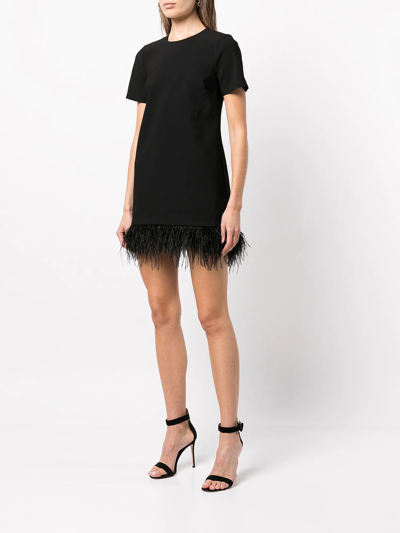 Shop Likely Marullo Feather-trim Mini Dress In Black