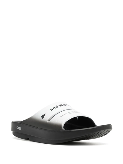 Shop And Wander Oofos Ahh Recovery Sandals In Black