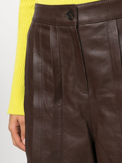 Shop Golden Goose Pleated Leather Shorts In Brown