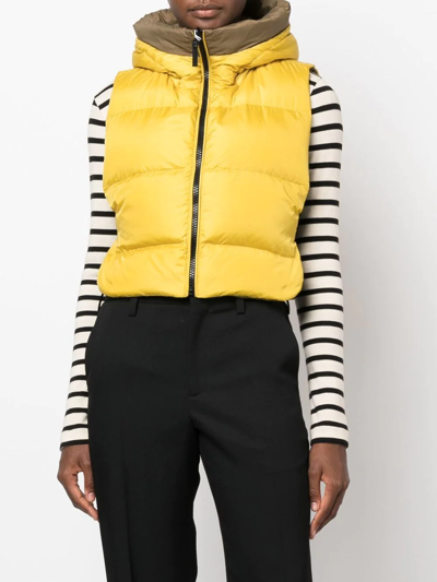 Yves Salomon Logo-print Reversible Padded Gilet In Green