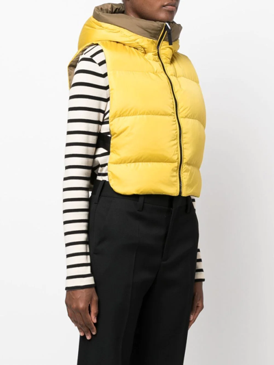 Yves Salomon Logo-print Reversible Padded Gilet In Green