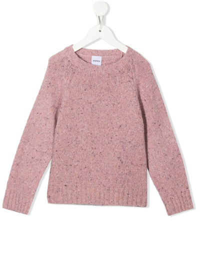 Shop Aspesi Long-sleeve Knitted Jumper In Pink