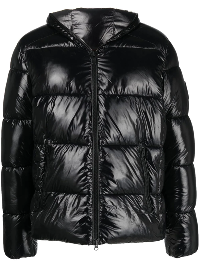 Shop Save The Duck Edgard Hooded Padded Jacket In Black