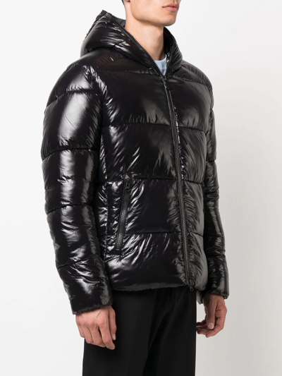 Shop Save The Duck Edgard Hooded Padded Jacket In Black
