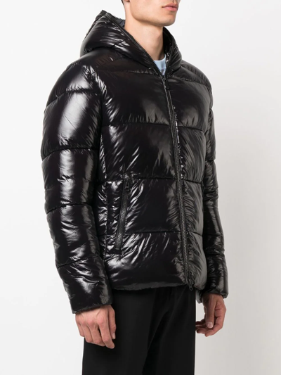 Save The Duck Edgard Hooded Padded Jacket In Black