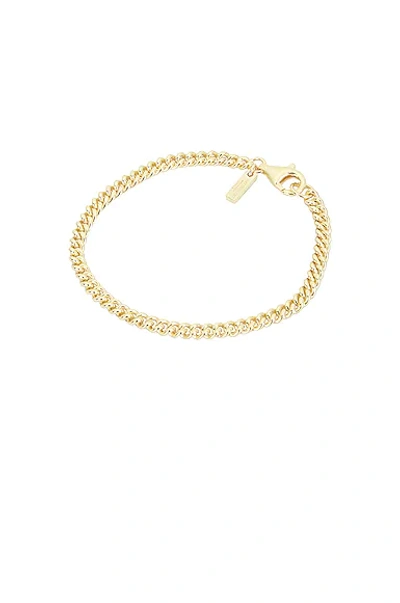 Shop Hatton Labs Gp Mini Round Cuban Bracelet In Gold